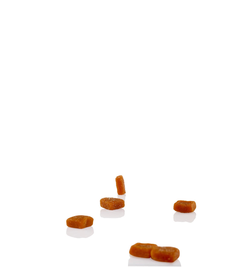 SOULBELLY Super Immunity Remedy Vitamin Gummies for Immune Support | Vegan | Gluten-Free | Non-GMO | 60 Count