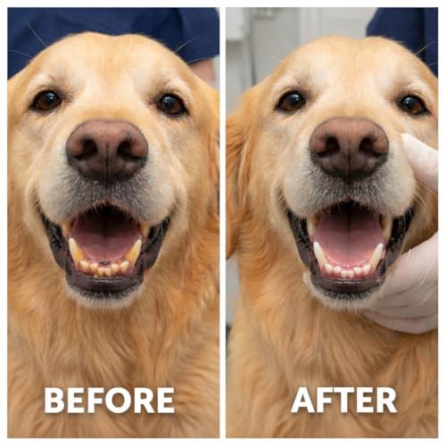 Plaque & Tartar Remover Kelp Seaweed for Dogs & Cats Bad Breath Remover 100% Natural Teeth Cleaner 150g