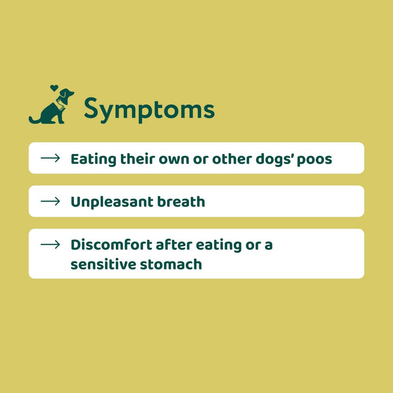 DogSuppy No Poo Eating Chews for Dogs – Helps Stop Dog Eating Poo, Supports Gut Health & Digestion, Fresher Breath, 100% Natural Ingredients, Coprophagia, Stool Eating Deterrent, Fish Flavour