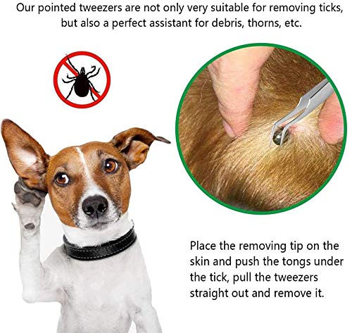 EasyULT 2 in 1 professional tick tweezers, tick tweezers and tick hook, made of high-quality stainless steel, easy to remove ticks, tick remover for humans, dogs, cats (with storage box) silver - BeesActive Australia