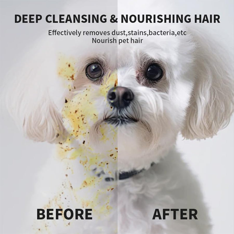 Extra Thick Pet Bathing Wipes for Dogs & Cats, Cleaning & Deodorizing Grooming Gloves, Nourish Fur Glove Wipes for Daily Care and Traveling, Rinse Free Cleaning & Deodorizing Bathing 6 PCS Cat Wipes - BeesActive Australia