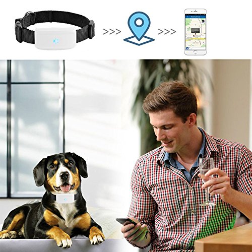 Winnes GPS Tracker Cat, Mini GPS Tracker Dog Without Subscription Real Time Tracking Anti Loss Alarm Historical Route GPS Collars Waterproof With Free APP - BeesActive Australia