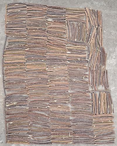 Ayurvedic Neem Datun Sticks, Half Sun Dried Neem Twigs, Vacuum Packed Wooden Chew Sticks, Daily Use Brushing Alternative, 6-8 Inch, Pack of 10 & 1 Piece Free