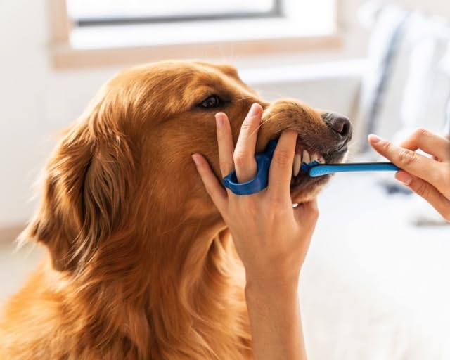 from Doggy Breath to Doggy Fresh Dog Dental Care Kit Includes Enzymatic Toothpaste for Dogs Plus BrushMate Dual Brush Head Toothbrush with Angled Bristles - PawsPlanet Australia