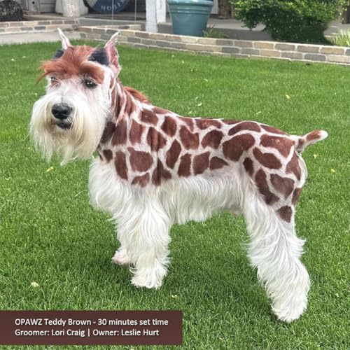 OPAWZ Permanent Dog Hair Dye, Pet Hair Dye Safely Used by Grooming Salons for a Decade, Pet Safe Dye Lasts Over 20 Washes, Bright Color for Dogs and Horses (Teddy Brown) Teddy Brown