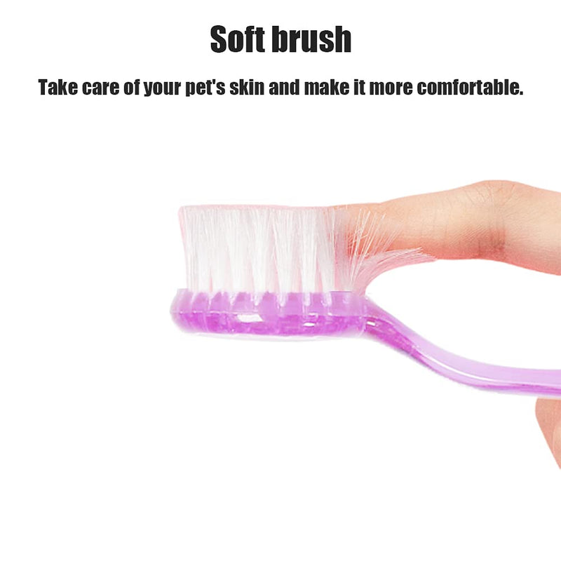 2 Pack Hamster Brush, Guinea Pig Massage Combs, Hedgehog Cleaning Supplies - Purple - BeesActive Australia