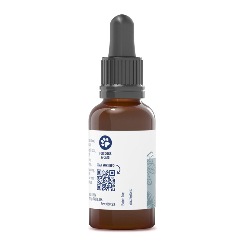 Dorwest Herbs Rhus Tox 6C Homoeopathic Liquid Remedy for Dogs & Cats - 15ml