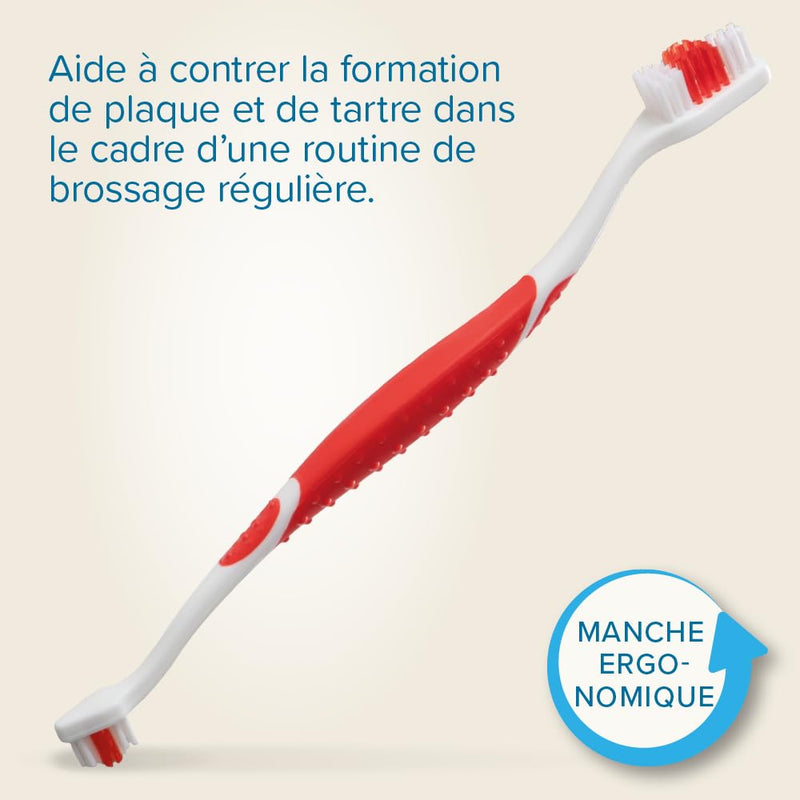 Beaphar Toothbrush 1 piece - Double Sided Brush with a Small and Large Brush - Especially for Dogs and Cats Red 1 count (Pack of 1)