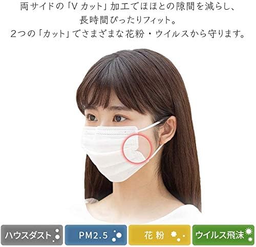 Iris Ohyama 20PN-120PM Masks, 120 Pieces, Disposable, Pleated Masks, Non-woven, Normal Size -  Australia