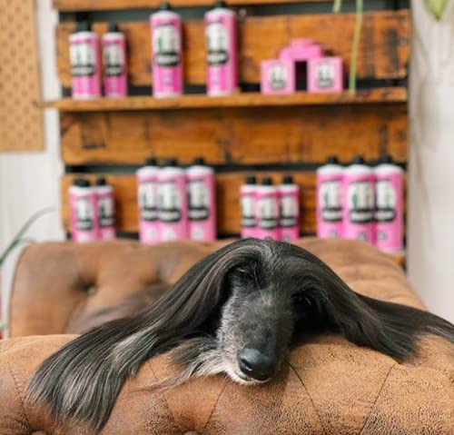 Petuxe Pet Spray - Prevents Fleas, Ticks, Dust Mites, Lice and Mosquitoes - Vegan Dog Spray - 300 ml