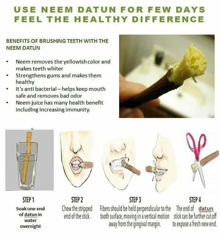 Traditional Ayurvedic Neem Datun Sticks, Natural Neem Twigs for Manual Tooth Cleaning, Wooden Chew Sticks, Traditional Toothbrush Alternative, 6-8 Inch, Pack of 10 with 1 Pcs Free