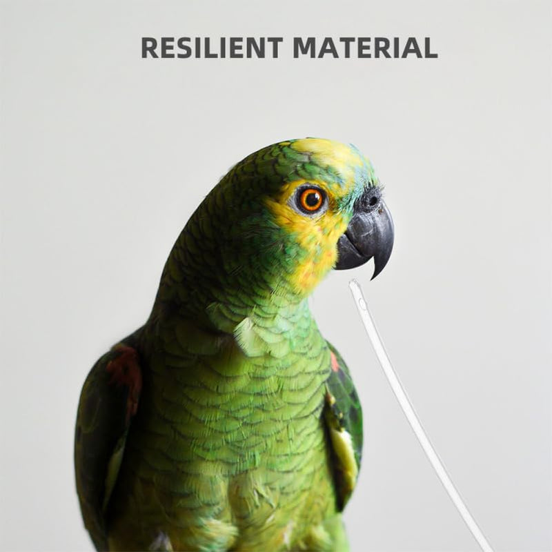 balacoo 100pcs Parrot Feeding Tube Soft Hose Replacement Heads for Birds Feeder Parrot Hand Feeder Bird for Cage