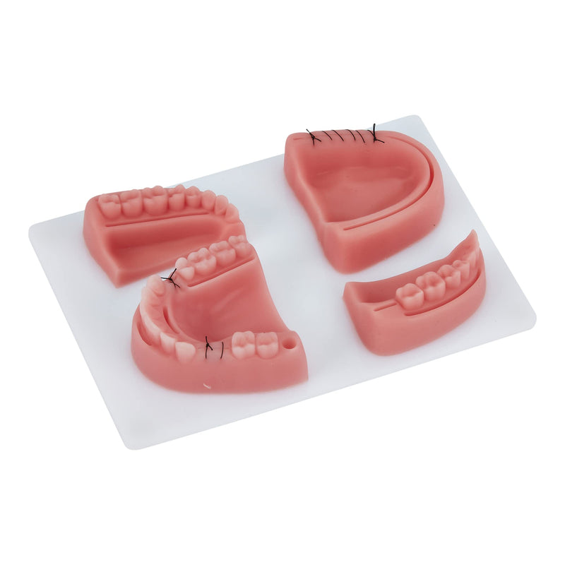 Dental Suture Practice Kit | Complete Suturing Kit Including 4 Suture Pads | Perfect Dentist Gifts | 6 Quality Dental Suture Tools | Suturing Practice | OSCE Dentistry | Perfect Suture Material - BeesActive Australia