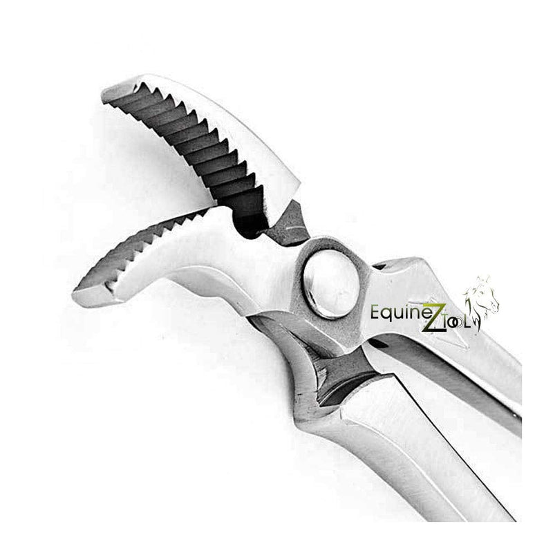 Hoof Curved Jaw Clincher,Farrier Tool Hoof Nail Clincher Vanadium Steel Plier - BeesActive Australia