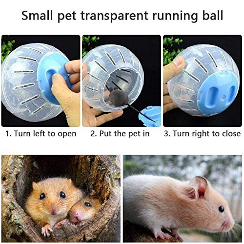 Hamster Exercise Ball Silent Hamster Wheel Small Animals Transparent Ball for Dwar Rat Relieves Boredom and Increases Activity (6 inch, Blue) 6 inch - BeesActive Australia