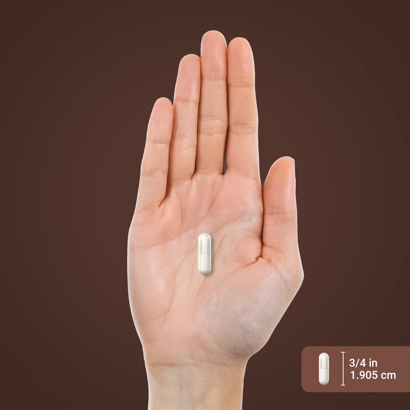 Piping Rock Devils Claw | 200 Capsules | Herbal Supplement | Concentrated Extract | Non-GMO, Gluten Free - BeesActive Australia