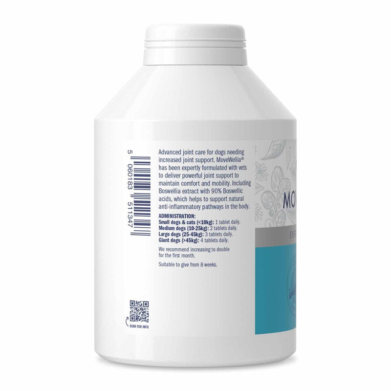 Dorwest Herbs MoveWellia Joint Care Supplement for Dogs and Cats - 500 Tablets - Natural Dog Supplements for Joint Discomfort with Boswellia, Chondroitin, Glucosamine and Celery Seed