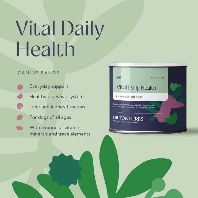 Hilton Herbs Vital Daily Health Natural Dog Supplement. 100% Natural Ingredients. Vital Vitamins and Mineral for Optimum Health. Suitable for BARF and Raw Diet. 60 g