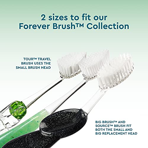 RADIUS Replacement Toothbrush Heads, Soft Bristles, 2-Count, Improve Gum Health & Reduce Gum Issues, Pack of 3 1 Count (Pack of 3)