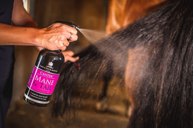 JPC Carr & Day & Martin Canter Mane and Tail Conditioner One Size - BeesActive Australia