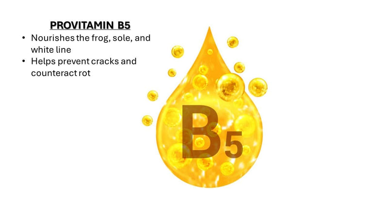 Fence Rider Hoof Oil Spray, Premium Blend of Natural Oils and Nutrients to Balance Hoof Moisture, While Working to Correct Cracks and Counteract Rot. 16 oz Ready to Use (16 oz) - BeesActive Australia