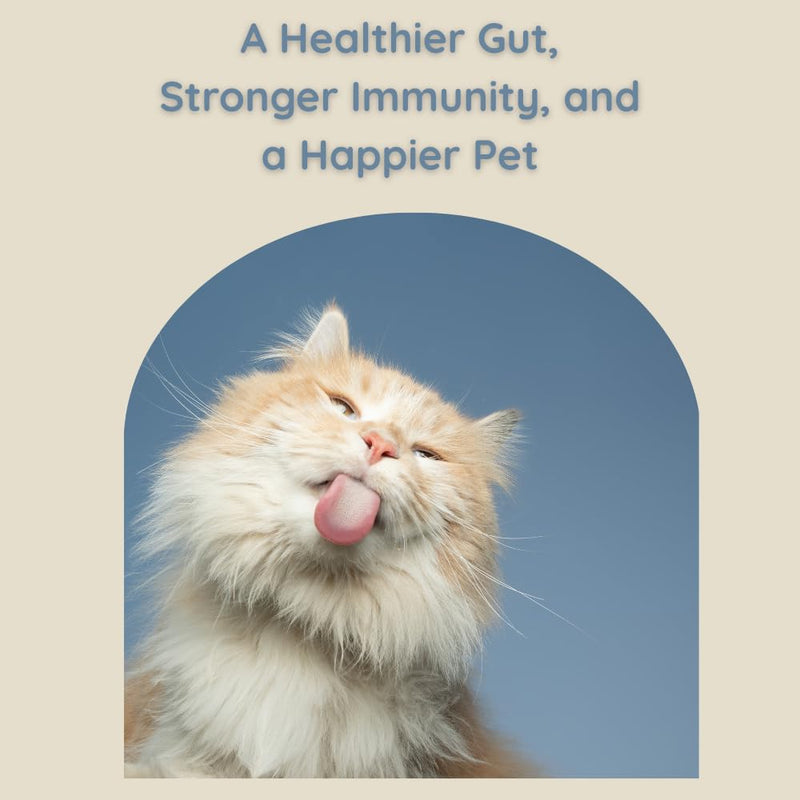Apawthecary Probiotic and Prebiotic Supplement for Cats, 7 Strain Blend, 3 Billion CFU, Natural Pumpkin Carrot Flavor, Gut Health Support, 3.8 oz Powder with Measuring Scoop