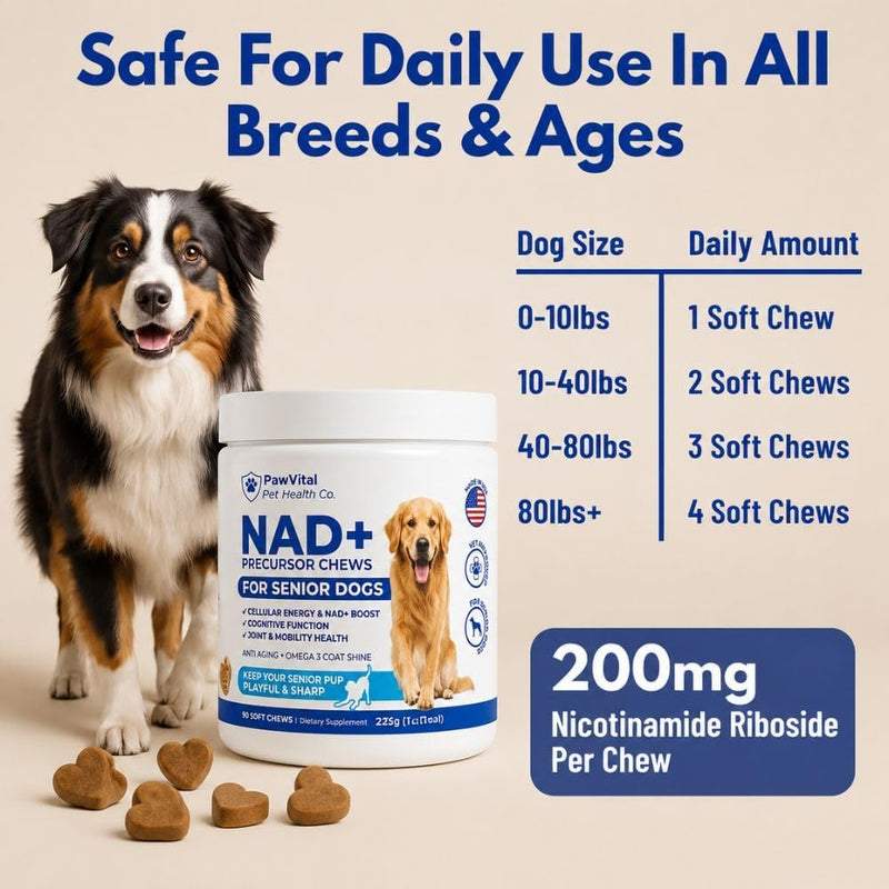 NAD+ Precursor Chews for Senior Dogs – Cellular Energy, Longevity & Cognitive Support – Nicotinamide Riboside, Resveratrol, Quercetin, Glucosamine, Omega-3 – Made with Real Chicken – 90 Count