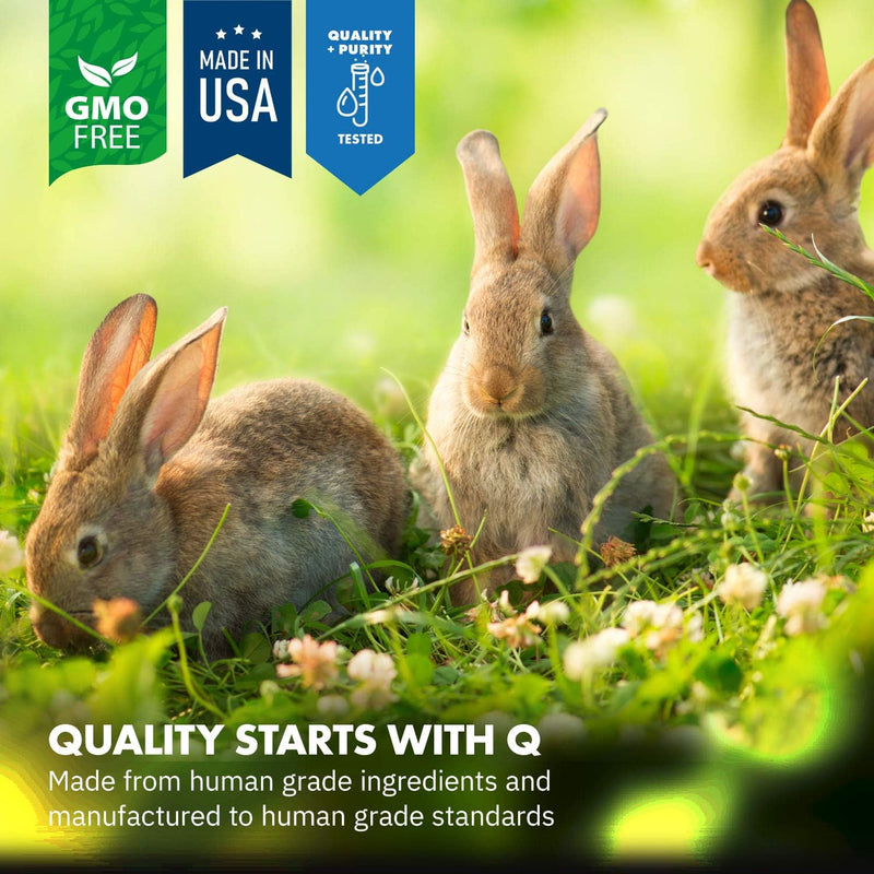 HealthyGut Probiotics for Rabbits Dietary Supplement, All-Natural Digestive System Formula (120 Servings) - BeesActive Australia