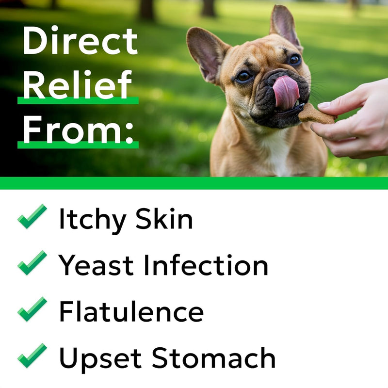 BARK&SPARK Vet Strength Dog Probiotics for Gut Health & Digestive Enzymes - Gas, Diarrhea, Constipation Chewables - Allergies Itchy Skin - Dogs Digestive Health - 60 Count (Pack of 1) Lamb