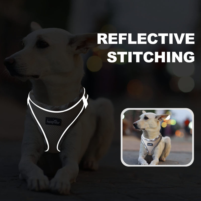 Dog Harness with Leash Set, No Pull Adjustable Reflective Step-in Puppy Harness with Thickened Padded Vest for Extra-Small/Small Medium Dogs M (Chest 15''-18'', Weight 10-15 lb) Beige - BeesActive Australia