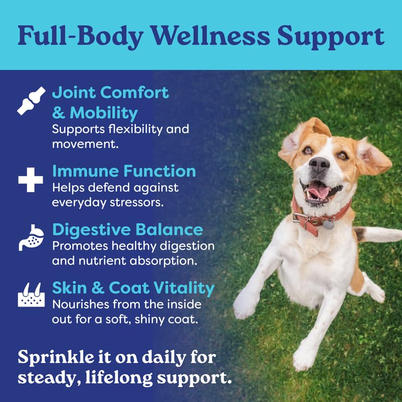 Bone Broth Dog Food Topper – Grass-Fed Beef Bone Broth Powder for Senior Dogs – Hip & Joint, Skin & Coat Support – Glucosamine & Collagen – 60 Servings | Fountain of Woof