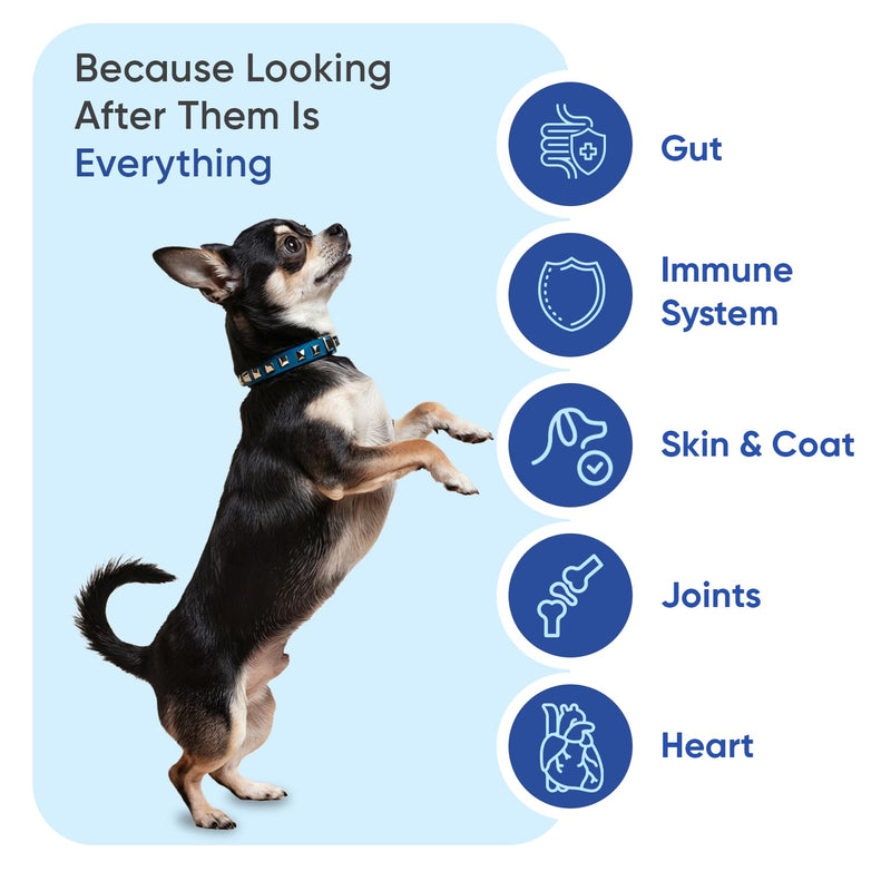 animigo Multivitamins and Minerals for Dogs - 120 Soft Chews - With 18 Vitamins & Minerals - Easy to Chew & Gentle Formulation - Suitable For All Breeds - Lactose-Free & Soy-Free