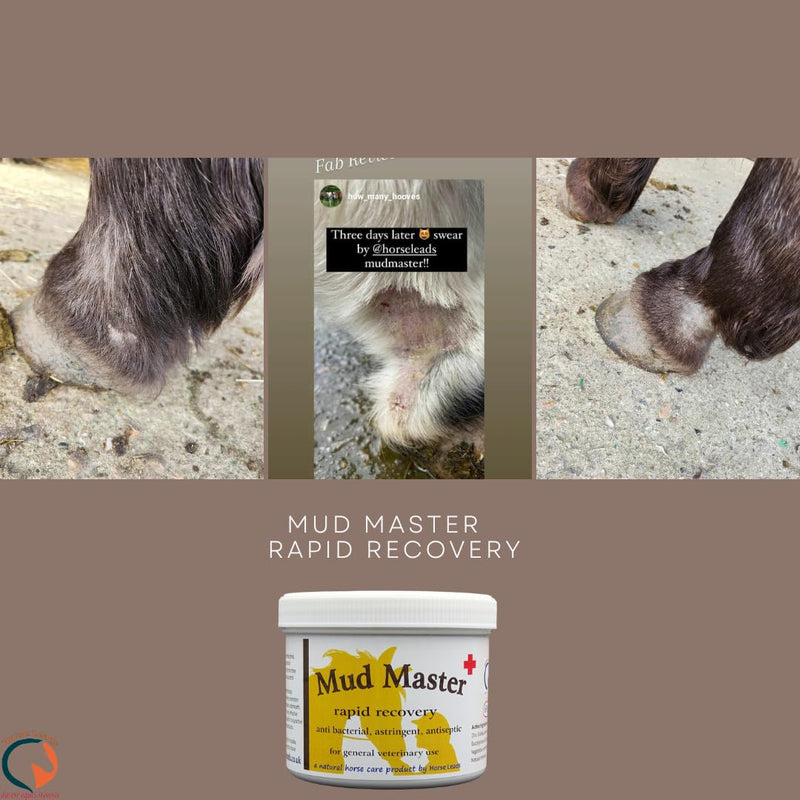 Mud Master 650 g by Horse Leads, beat mud fever, ALL NATURAL INGREDIENTS