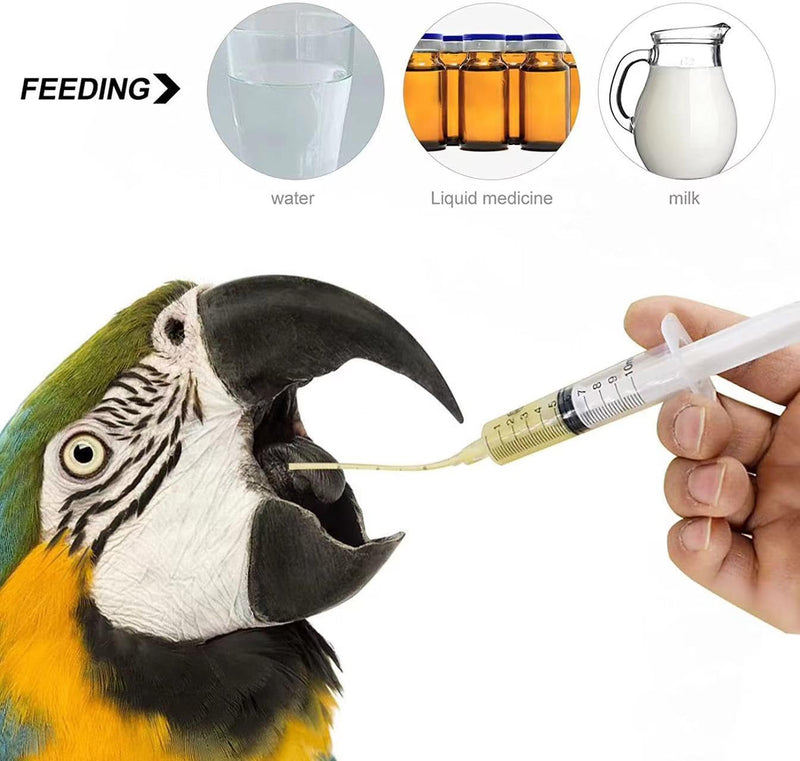 5ml+10ml+20ml Baby Bird Cockatiel Budgie Parrot Pet Hand Rearing Feeding Syringes Crop Tubes 3Pcs - BeesActive Australia