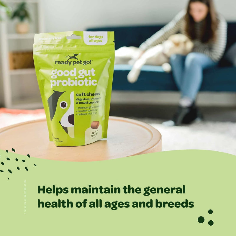 Probiotic Chews for Dogs Gut Health | Tasty Pre and Probiotics for Dogs Digestive Health with Pumpkin Dog Probiotics and Digestive Enzymes | NASC Certified & Made in The USA | 90 Chews 90 Count (Pack of 1) - PawsPlanet Australia