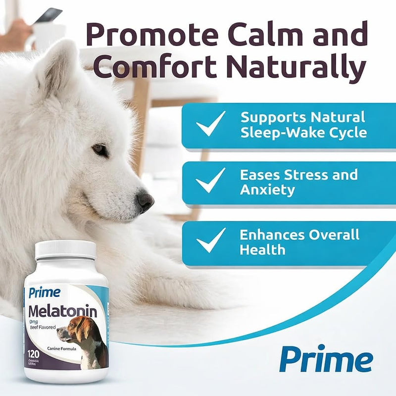Prime Melatonin for Dogs - Composure Dog Calming Chews - 3 mg, 120 Beef Flavored Chewable Tablets - Reduce Stress and Sleep Aid for Dogs