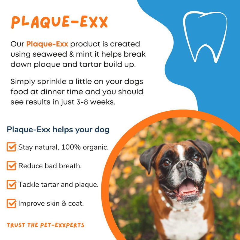 PlaqueExx Plaque and Tartar Remover for Dogs and Cats - Takes Plaque Off Your Pets Teeth PLUS No More Bad Breath - Teeth & Gum Dental Care Formula With Added Mint Powder (400g) 400g