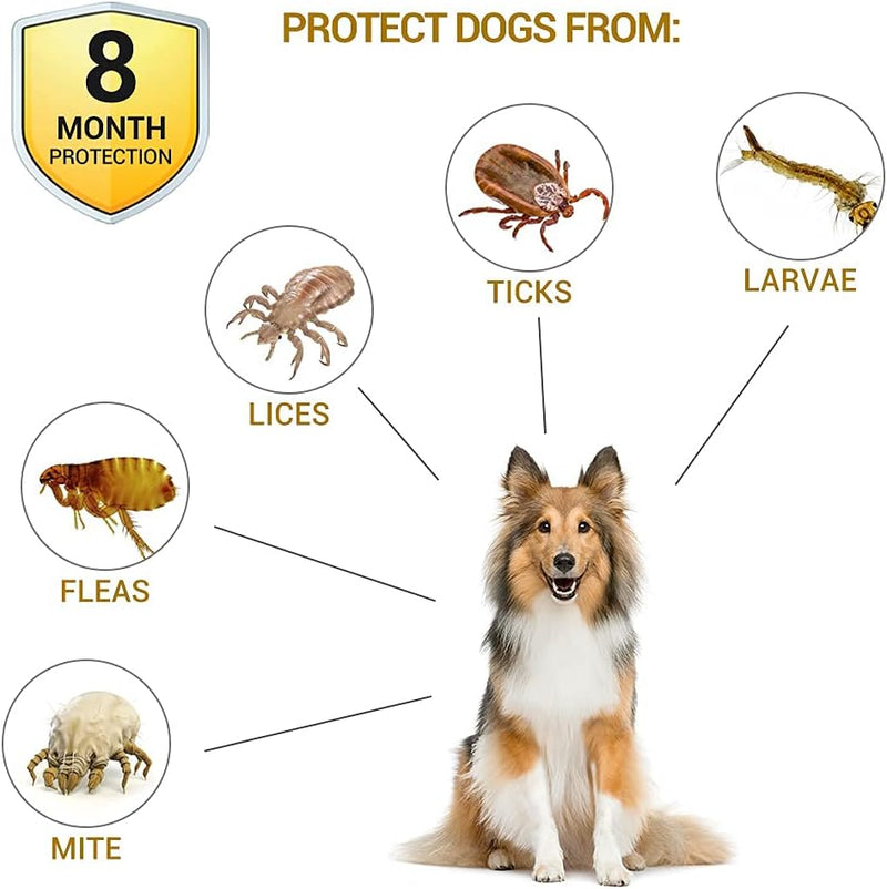 Flea Collar for Dogs 2 Pack Natural Flea and Tick Collar for Dogs 8 Month Prevention Puppys Collars 24 Inch Adjustable Large Collars - BeesActive Australia