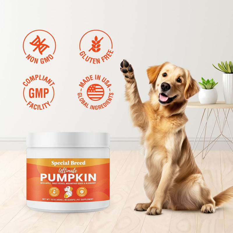 Ultimate Pumpkin for Dogs (16 oz) - with Organic Pumpkin, Apple, Sweet Potato, Miscanthus Grass & Blueberry, Digestive Support Relief for Constipation, Loose Stools, and Upset Stomaches, 60 Scoops - PawsPlanet Australia