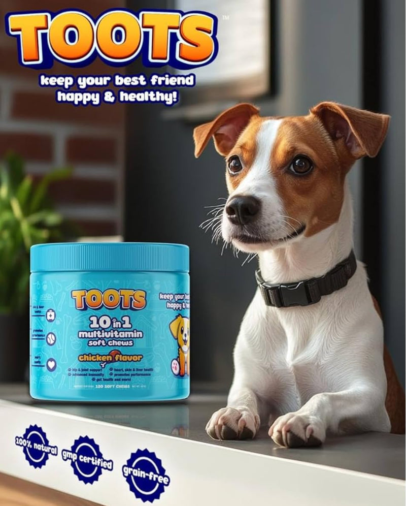 Toots 10-in-1 Multivitamin for Dogs -120ct Chicken Flavor Soft Chews for Hip and Joint, Skin and Coat, and Immune Support - Organic, Gluten-Free Dog Vitamins for All Breeds and Ages