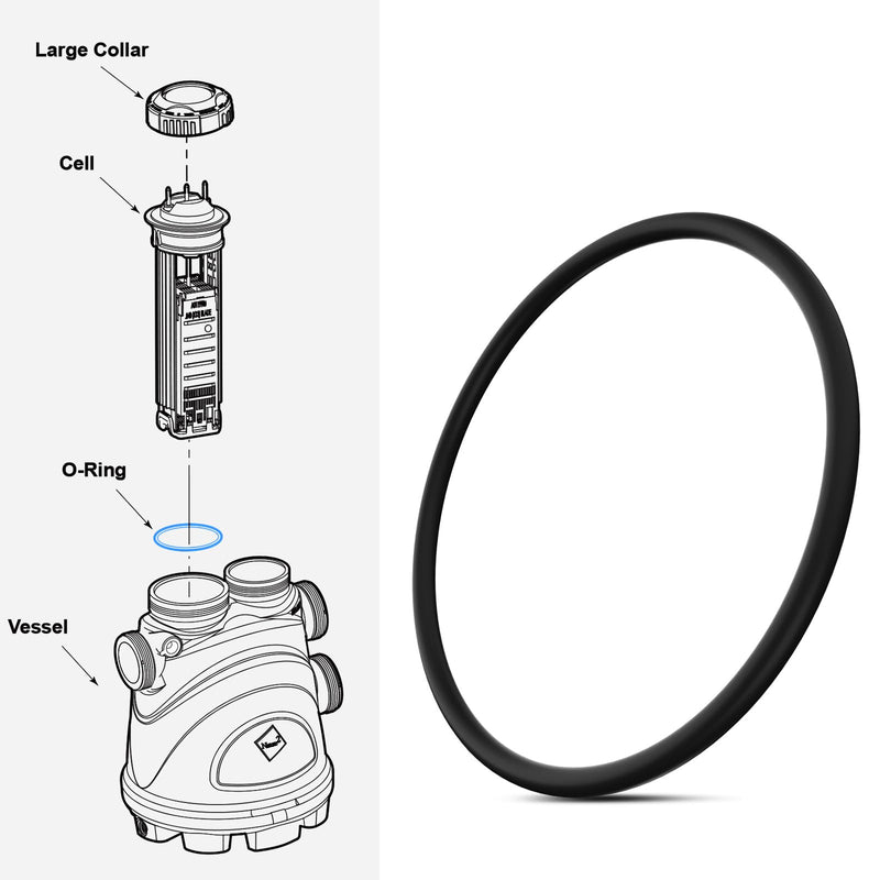 R0586300 Large Collar O-Ring Seal Replacement Zodiac Nature 2 Fusion, Jandy, Fusion Inground, Vision Pro Aboveground, Fusion Nature2 O-Ring - BeesActive Australia