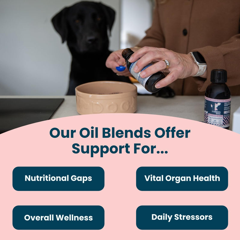Daily Support Dog Supplement 150ml | Specially Formulated Supplements for Adult Dogs | For Balance, Vitality & Long Term Health | 100% Natural | With Salmon Oil and Coconut Oil for Dogs