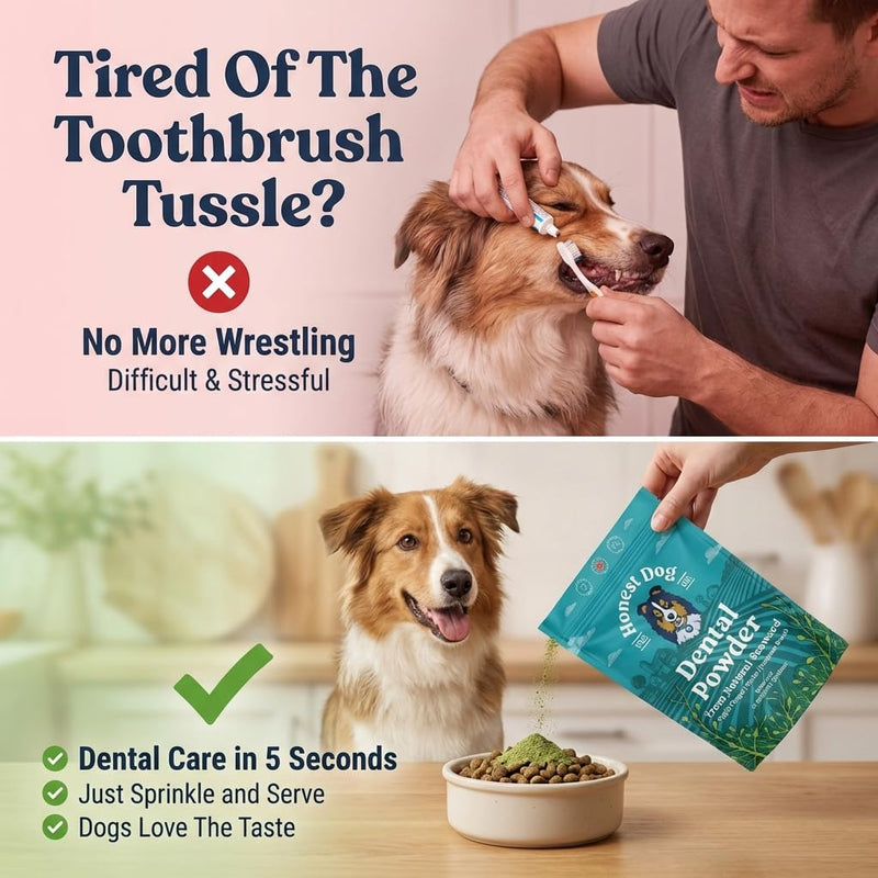 Honest Dog Co. Dental Powder for Dogs - Easy Seaweed Food Topper for Fresh Breath, Plaque & Tartar Removal | Natural Teeth Cleaning & Gum Health | Made in UK | 120g (up to 60 servings)