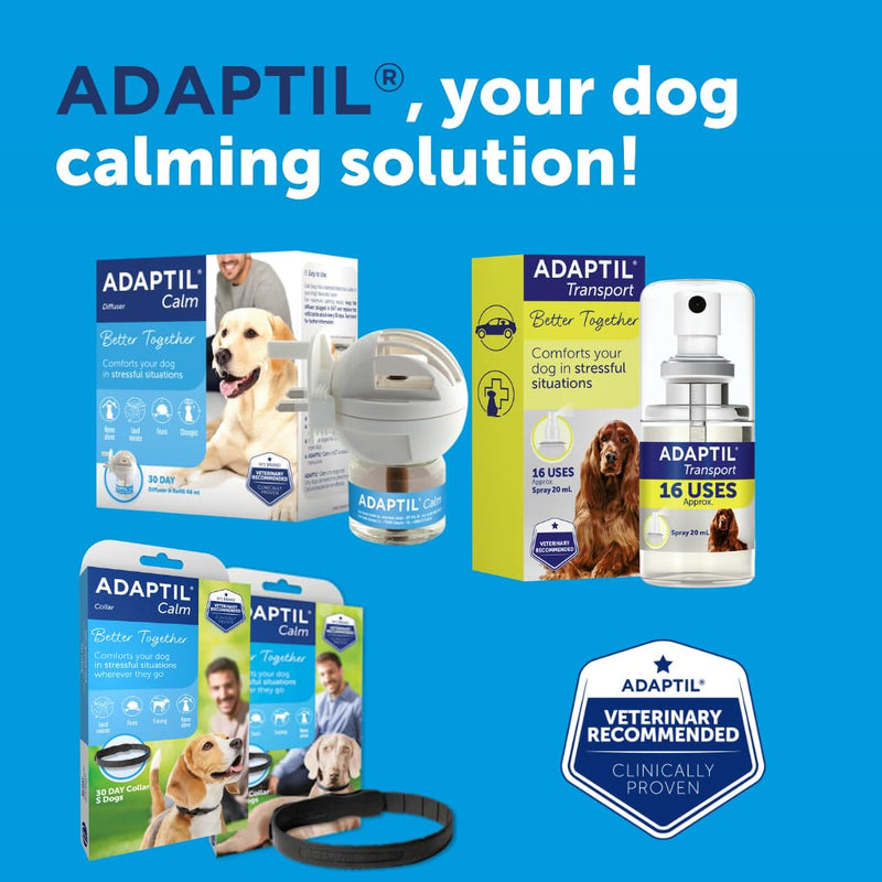 Adaptil Transport Spray For Dogs 60ml, Adaptil Dog Calming Spray Uses Pheromones To Help Reduce Anxiety And Stress In Pet Dogs, Pheromone Spray Helps Anxious Dogs Stay Calmer 60 ml (Pack of 1)
