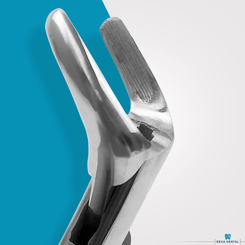 Heavy Duty Dental Extracting Forceps # 150# 151# 23, Apical Forceps, Cowhorn Forceps, Lower Molars, Atraumair - 3 Pcs #150+151+23 - BeesActive Australia