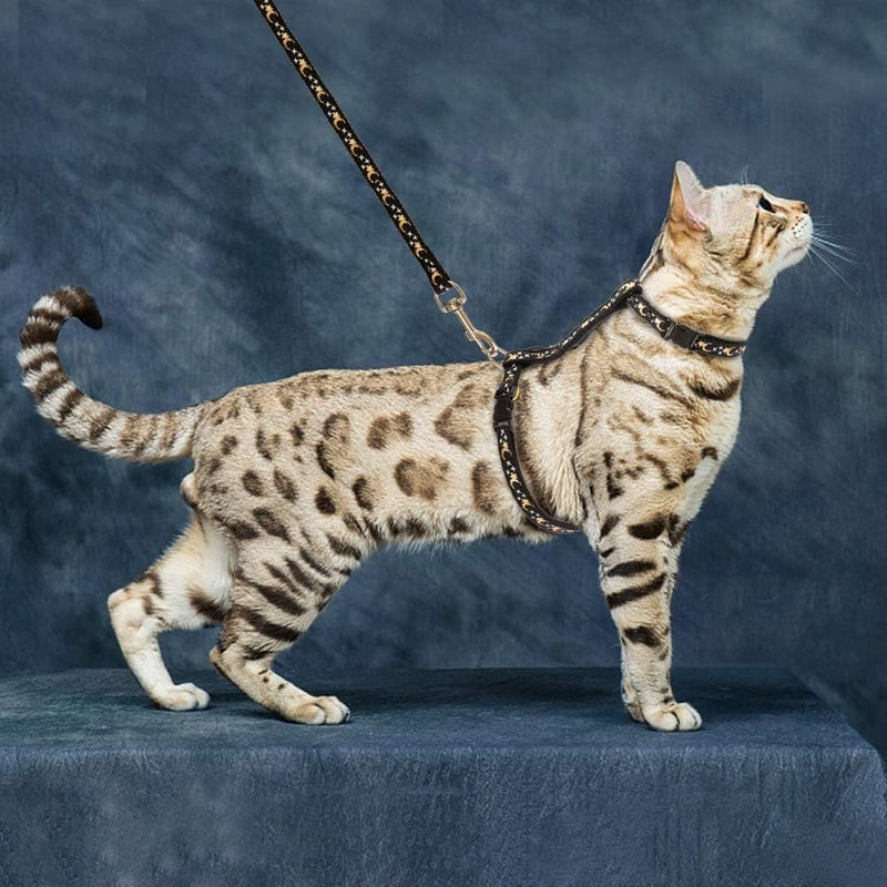 Cat harness with leash adjustable reflective harness for cat escape-proof chest strap with safety buckle cat harness for walks cat vest black for medium and large kittens black with star - BeesActive Australia
