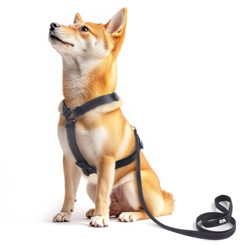 Dog Harness Leash Set, No Pull Adjustable Halter Cute Comfort Padded Handle for Medium Sized Large Small Dogs Walking Training Running with Reflective（Small,Black） Black - BeesActive Australia