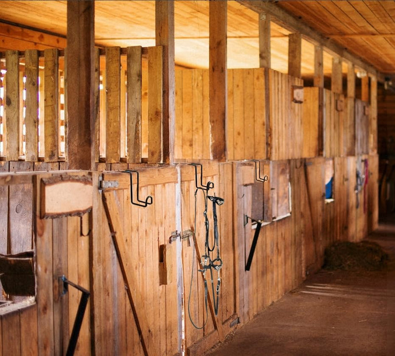 8Pcs 4 Inch Tack Hook,Metal Horse Stall Hooks Over Rail Bridle Hooks for Horse Tack Room,Stable,Barn,Trailer - BeesActive Australia