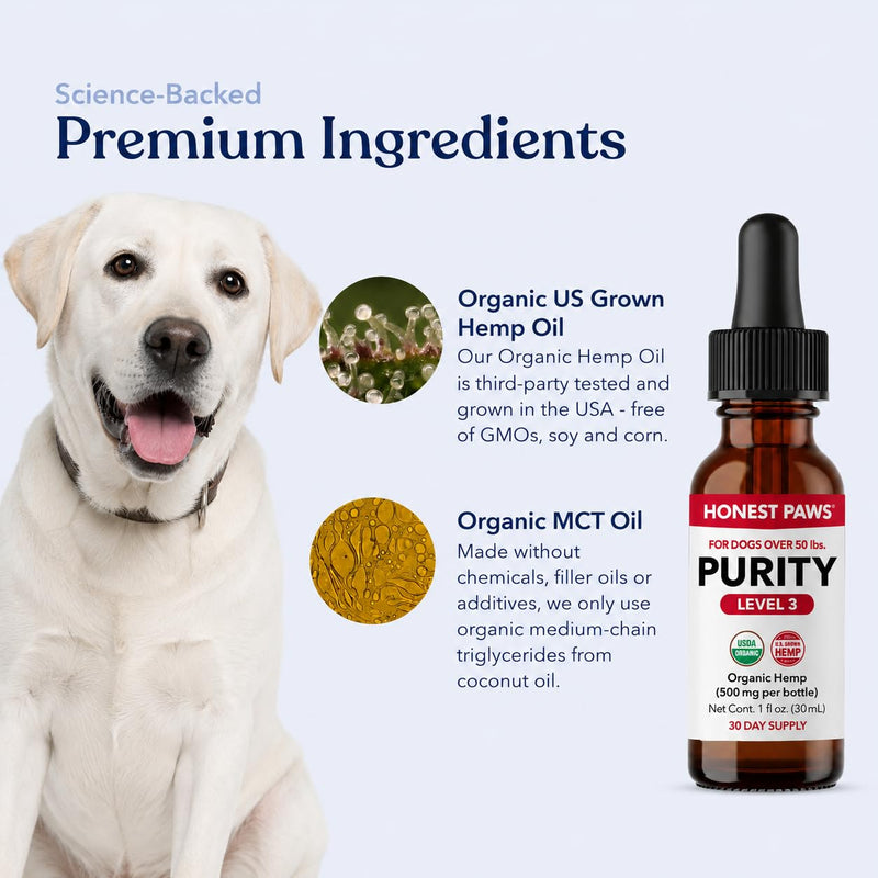 Honest Paws Hemp Oil for Dogs - Natural Hemp Seed Oil Drops Rich in Omega 3 6 9 - May Help Support Calm Behavior, Physical Comfort & Overall Wellness - Made in USA Level 3
