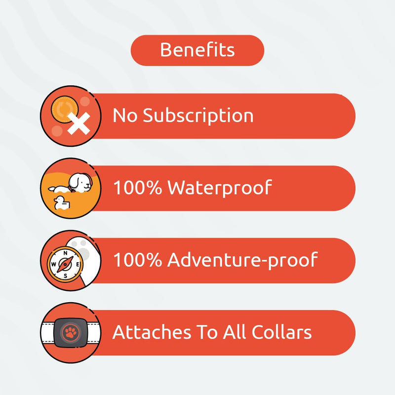 Pitpat - activity monitor for dogs - BeesActive Australia